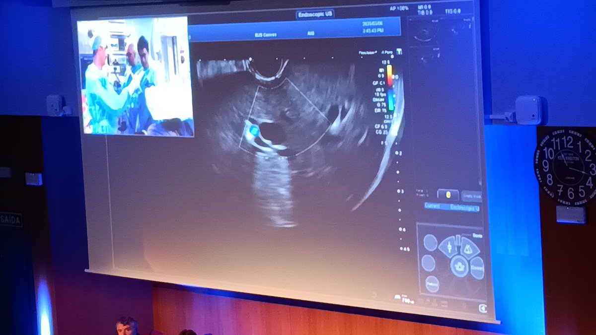 Gastro SANTIAGO tweet media