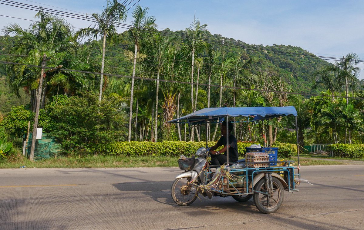 Amazing Thailand SA tweet media