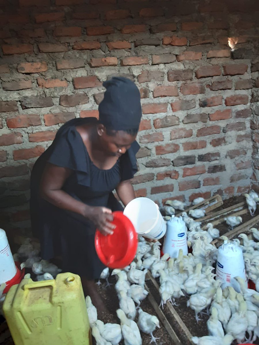 Youth Fraternity for Change-Uganda tweet media