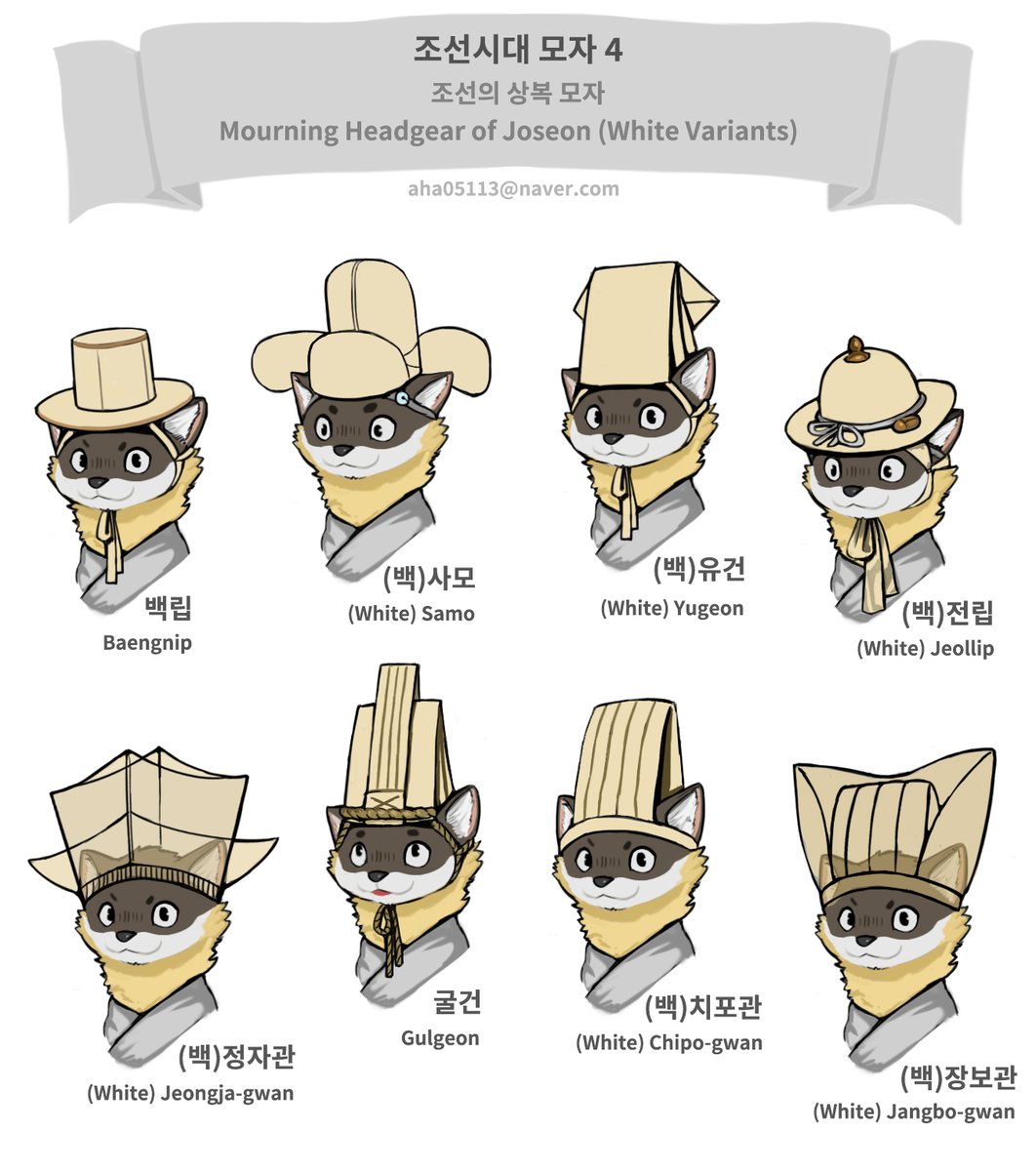 신네모 tweet media