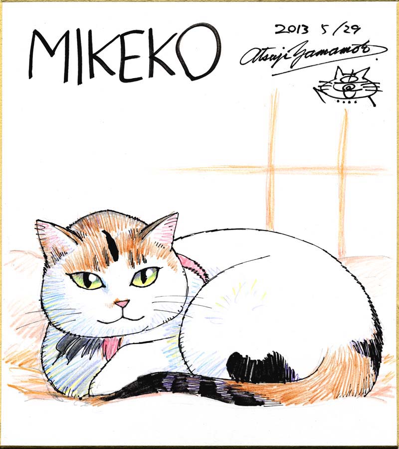 山本貴嗣 tweet media