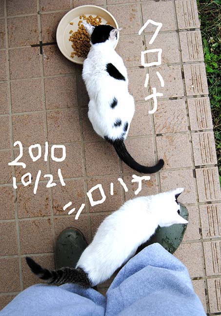 山本貴嗣 tweet media