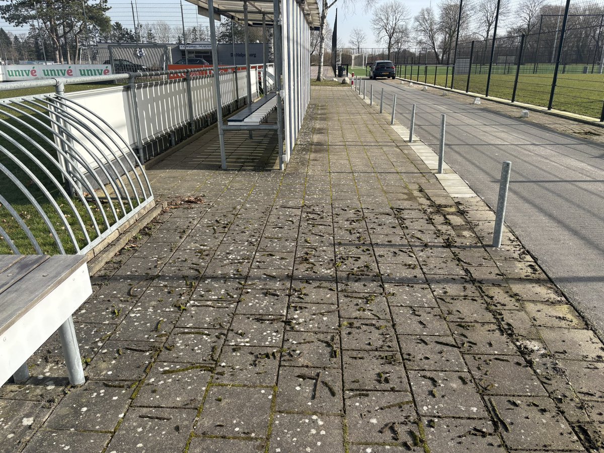 vvhelpman tweet media