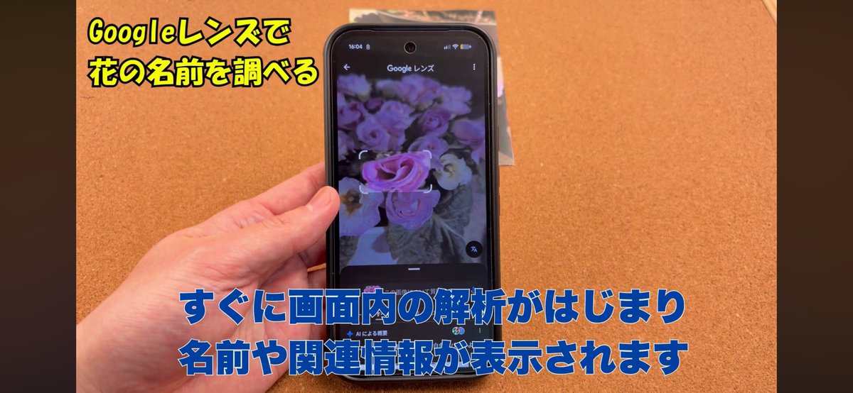 HelloTips2023's tweet photo. 「これ、なんていう花？」
「この商品どこで買える？」

そんなときに便利なのが
Googleレンズ📱

写真を撮るだけで調べられます。
使い方を動画で解説しました。

▶︎ https://t.co/4BKH8KdDs2

#Google検索
#Android
#スマホ便利術
#スマホ初心者
#スマホサポート
#スマホ動画 https://t.co/khbLymHxtA