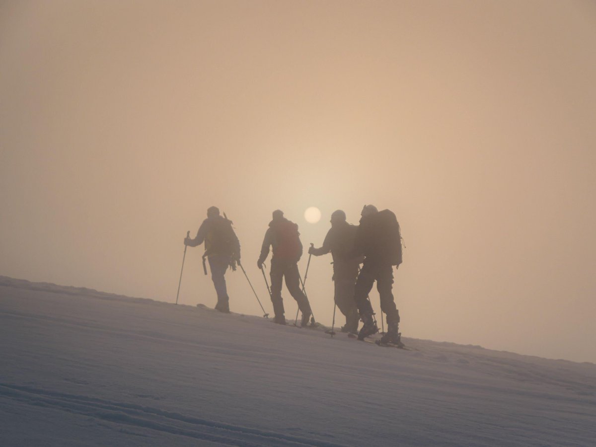 Cornelius Muller tweet media