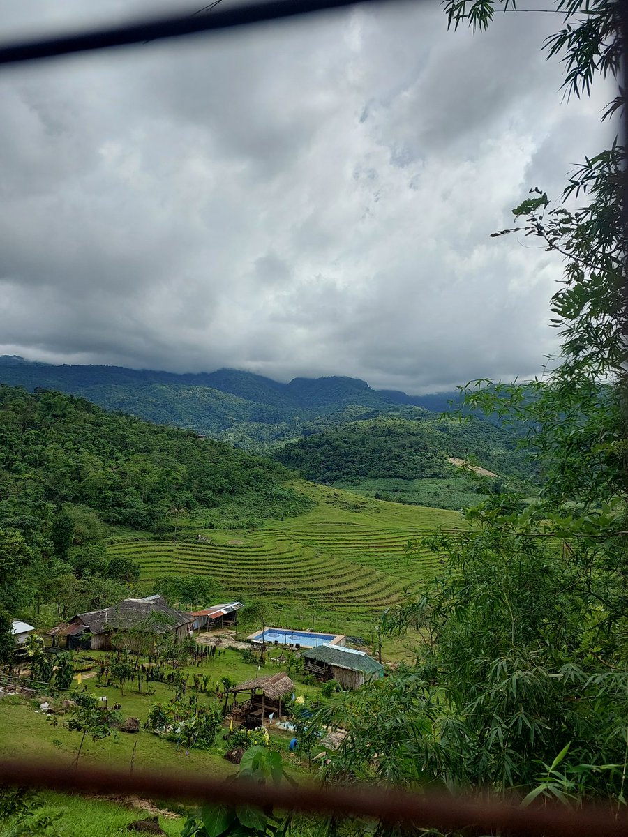 ℭ𝔥eesebolita ⚡︎ GREEN² RED² tweet media