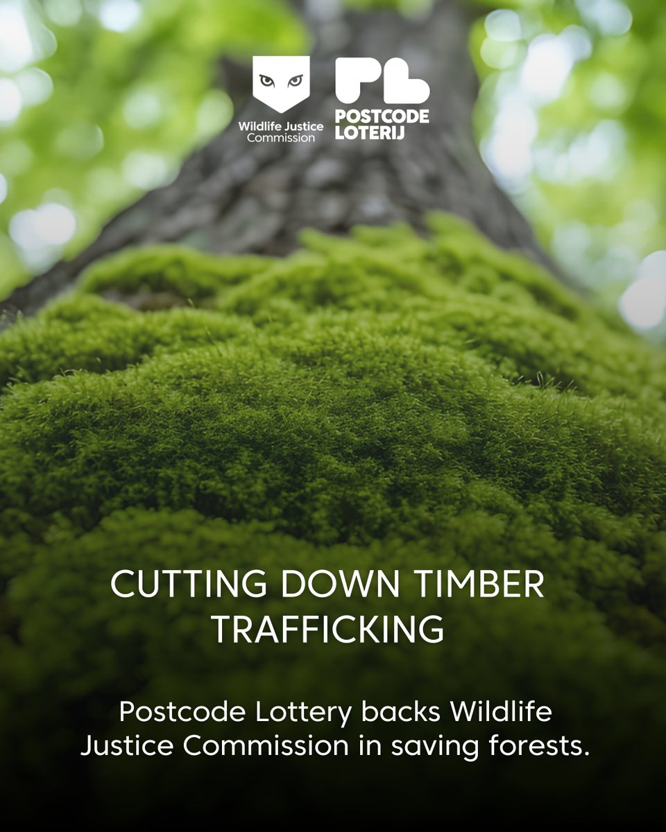 Wildlife Justice Commission tweet media