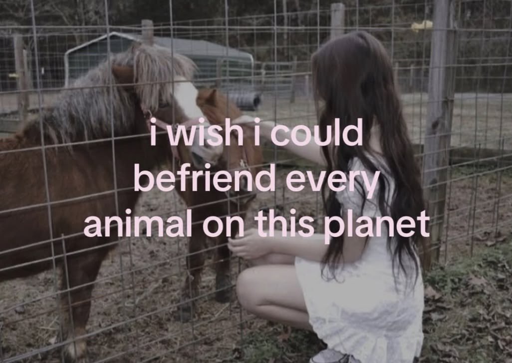 ଘ(੭*ˊᵕˋ)੭* ੈ♡‧₊˚ tweet media