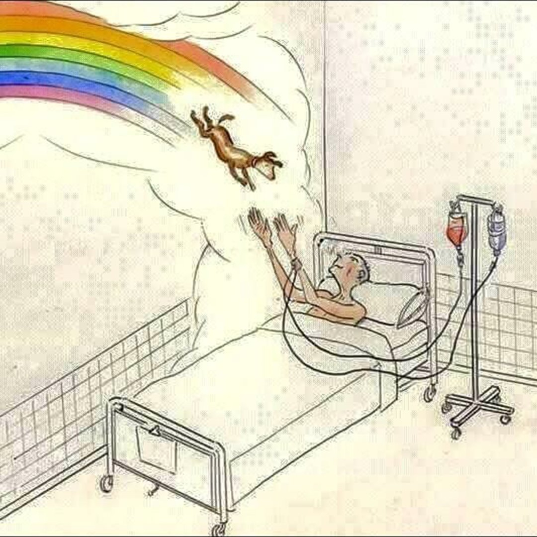 I really hope this happens when that day comes ❤️