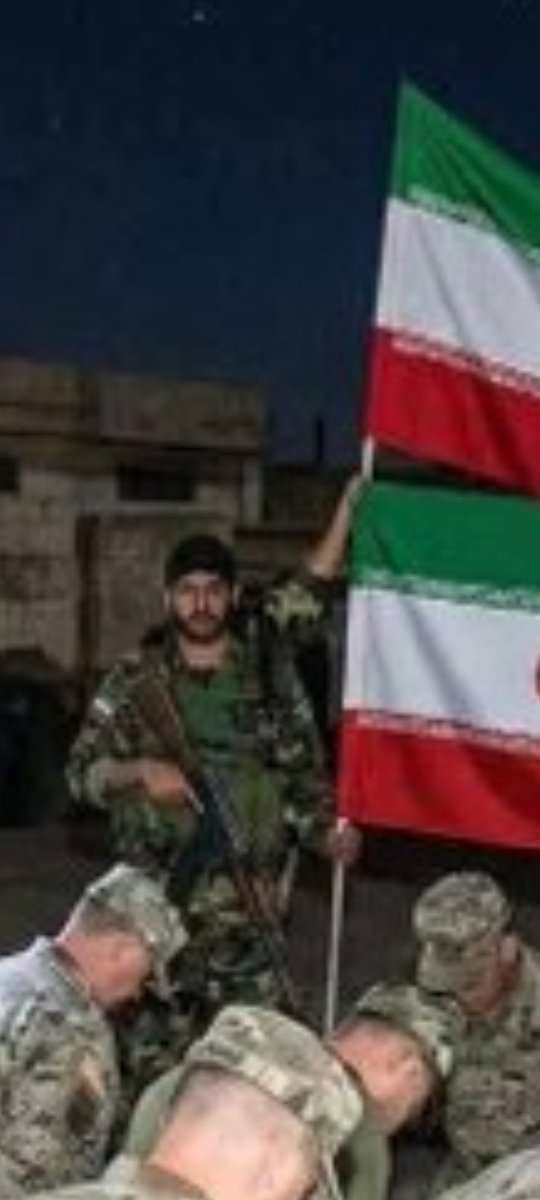 JustTheFox0 tweet media