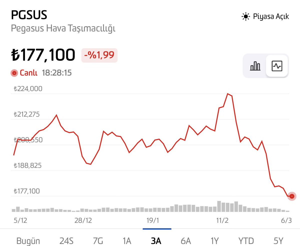 fernanda curti tweet media