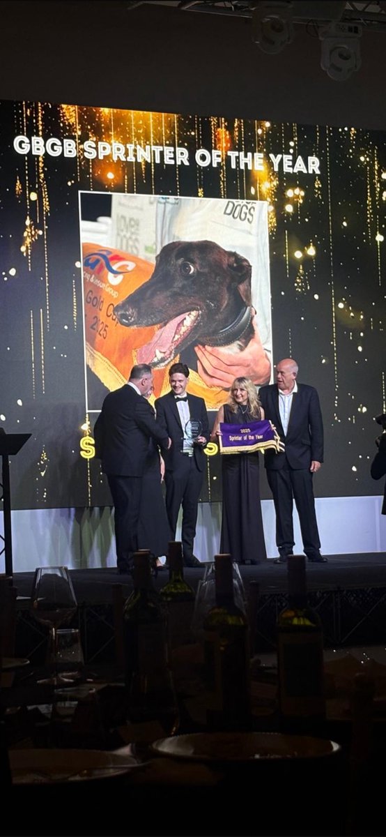 ๐น๐ฌ๐ฌ๐บ ๐ฎ๐น๐ฌ๐๐ฏ๐ถ๐ผ๐ต๐ซ ๐น๐จ๐ช๐ฐ๐ต๐ฎ tweet media