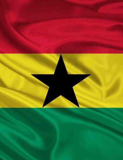 kofitonto's tweet photo. THE FLAG                                          OUR ECG METER https://t.co/kOtKe0BzI8