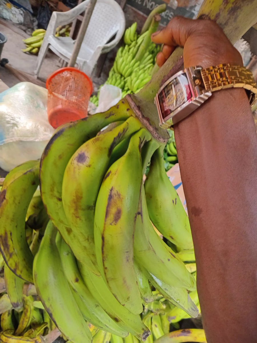 oyeleye9's tweet photo. Food inflation in Nigeria is not just cyclical.
Many of its drivers are structural.
Until coordination improves, price pressure will likely keep resurfacing.
Read more 👇🏽
https://t.co/QntjNz8W8K
@SenatorAKyari @femigbaja @bankofagricng
#FoodSystem #FoodChains #Africa #Economy https://t.co/dytIeMCJ8C