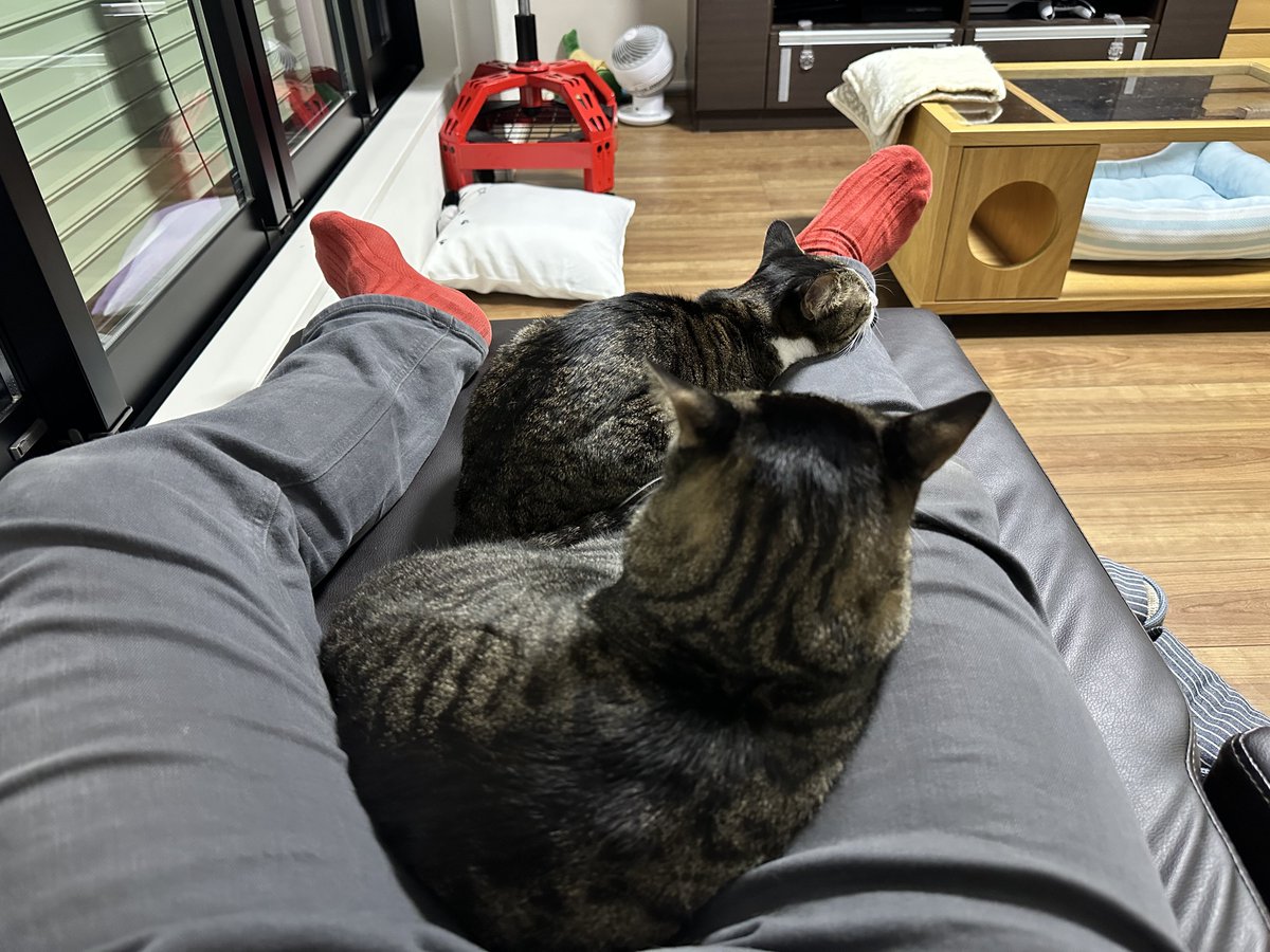 TAKA🍥イナソンでエアウォークしたおじさん tweet media