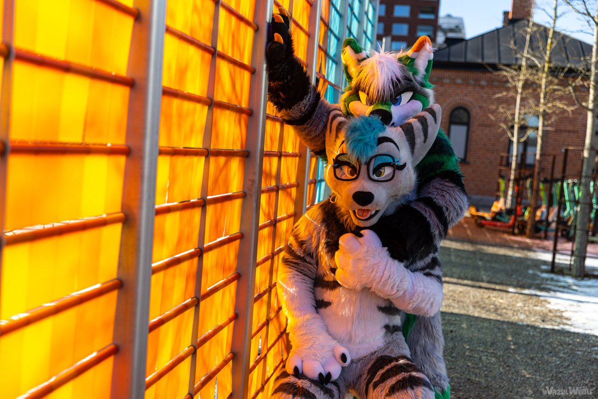 Refferic the Coyote tweet media