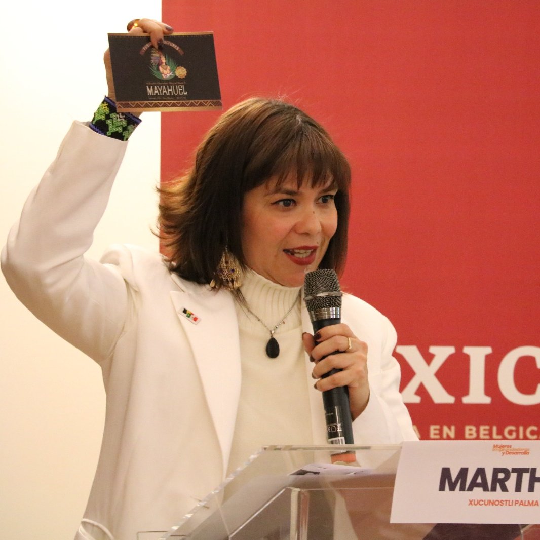 Rogelio Granguillhome Morfín tweet media