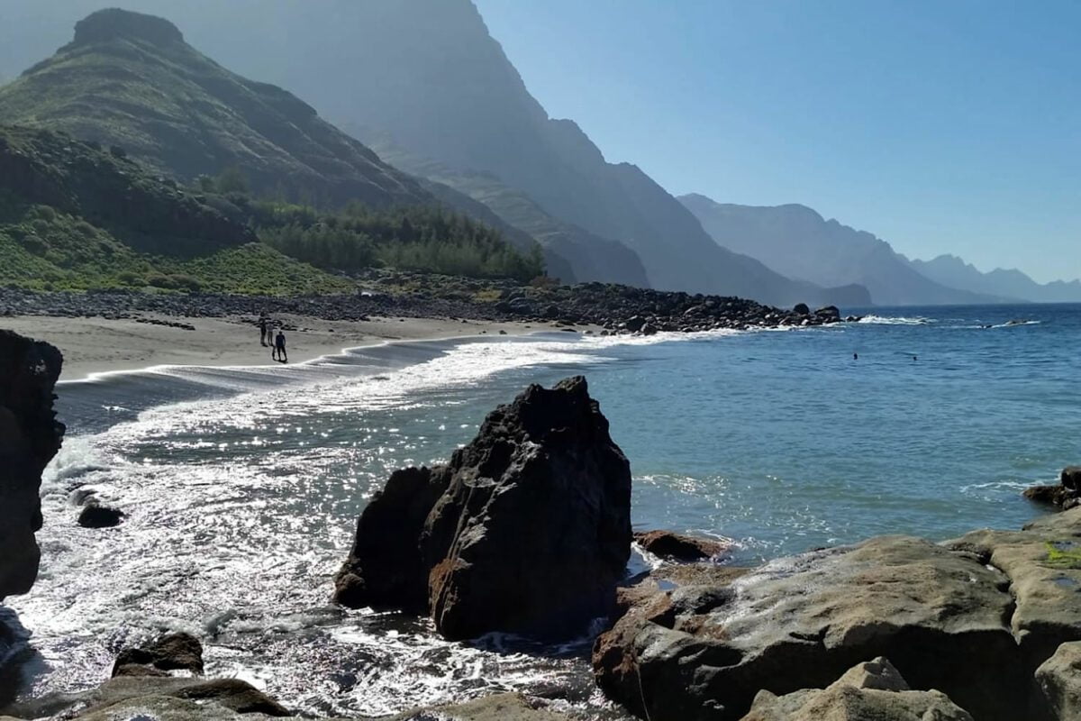 Philip Charter tweet media