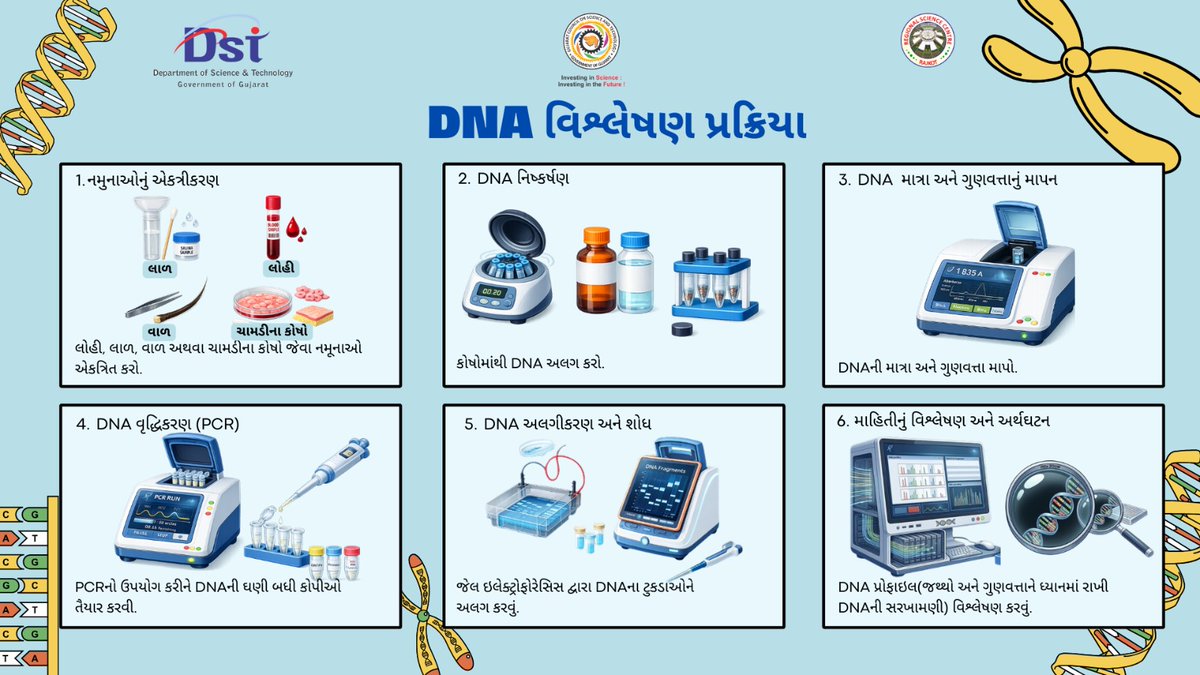 RSCRajkot's tweet image. 🔬 #DNAAnalysis Process – 6 Key Steps
From sample collection to gelelectrophoresis, helps analyze DNA profiles &amp;amp; scientists study #genetic information accurately.
🧬 For more info visit the #LifeScience #Gallery @RSCRajkot.