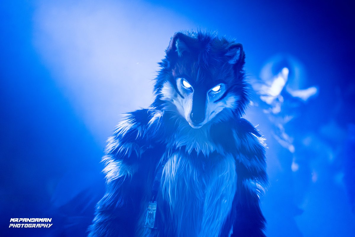 CarbineCoyote's tweet photo. The moon is out 
The beast is awake

#FursuitFriday #NFC2026 https://t.co/A5CO6RHGmx