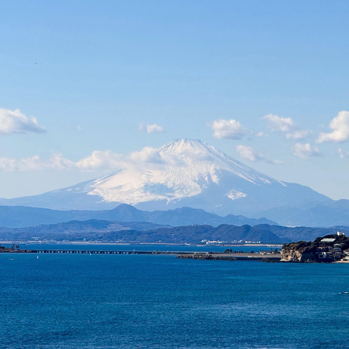 Fae°❀⋆. tweet media