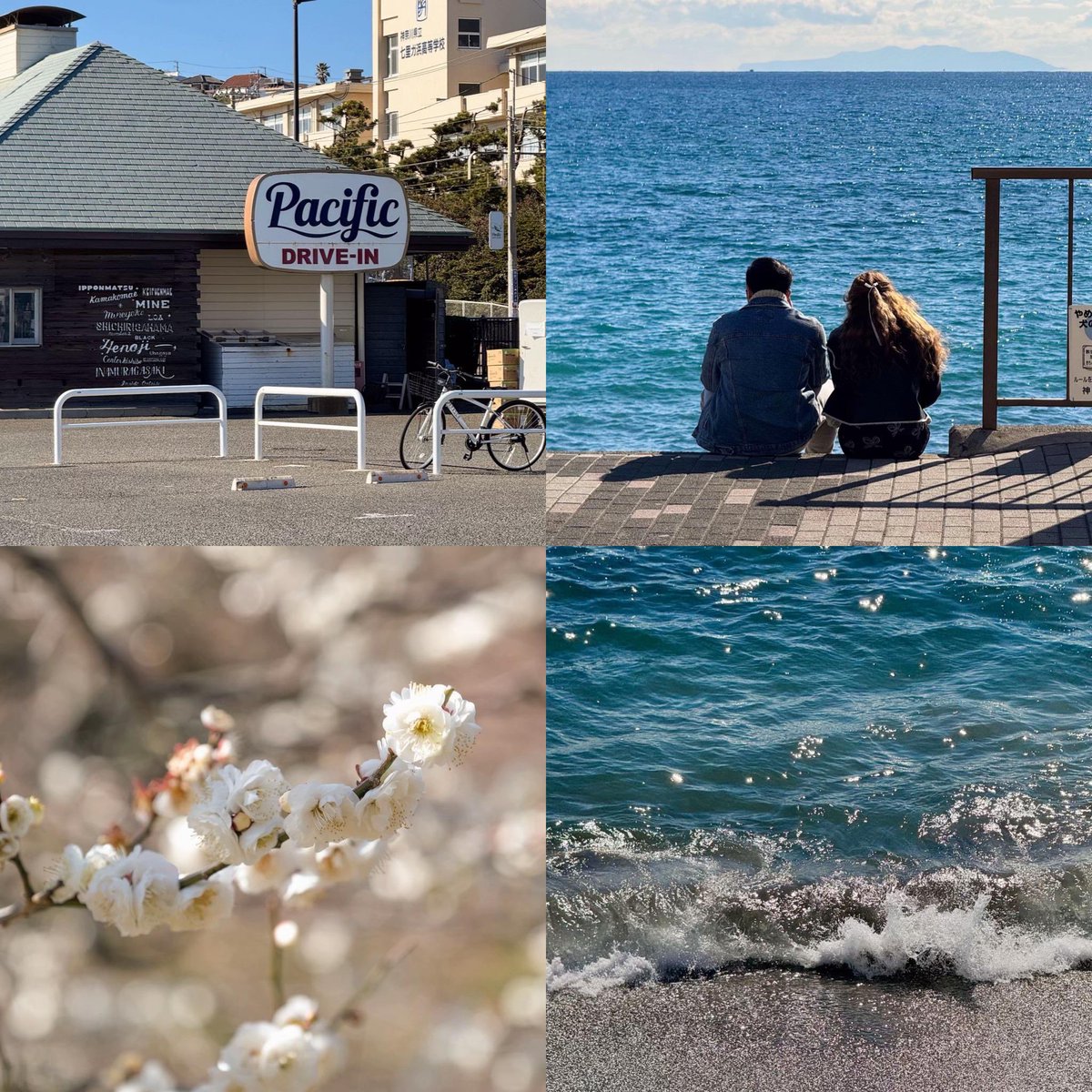 Kamakura, Japan 🇯🇵🏯