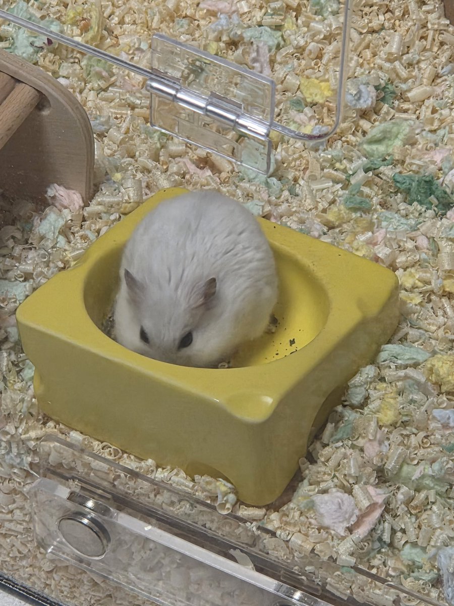 조지와 에드 tweet media