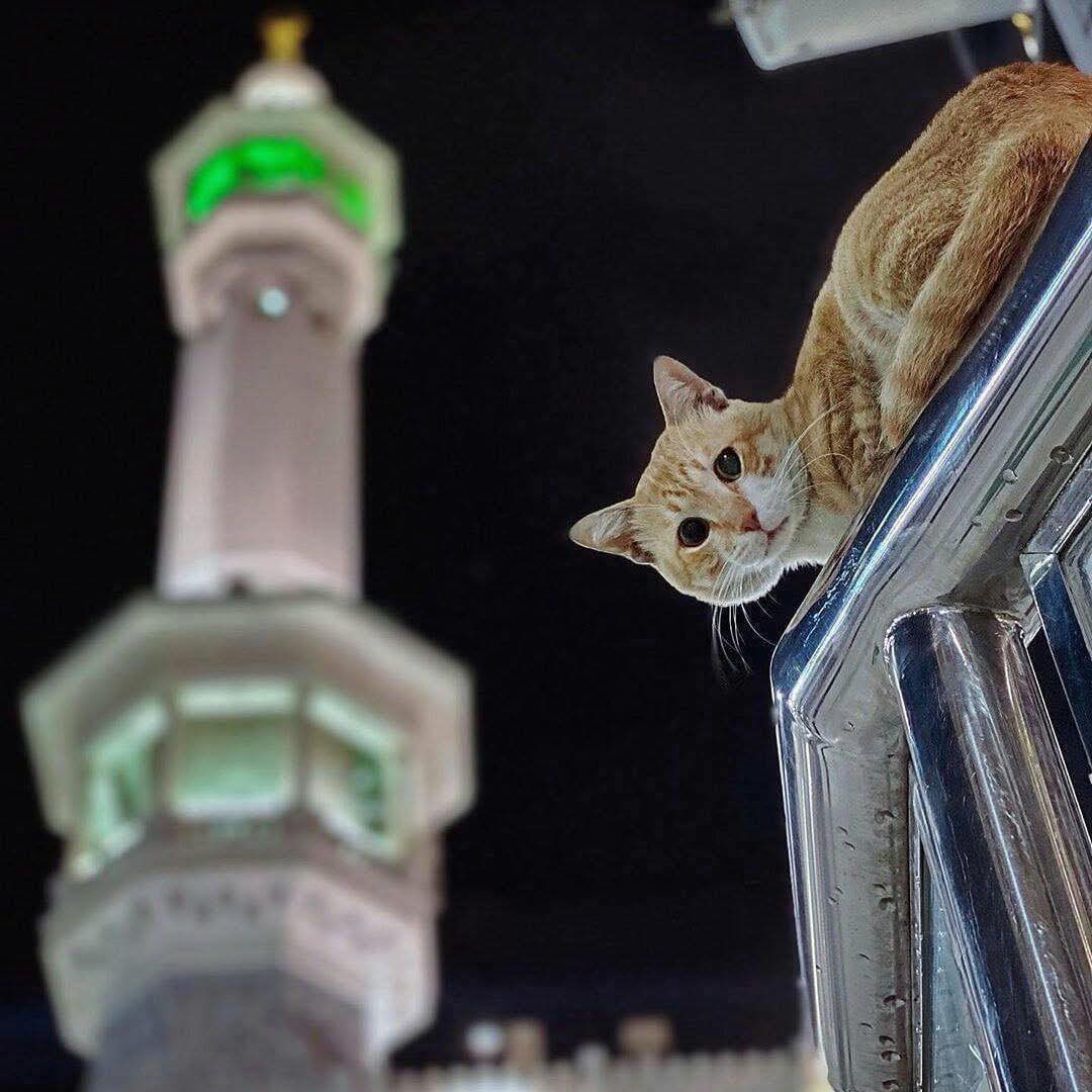 Masjid al-Haram, Saudi Arabia 🇸🇦
