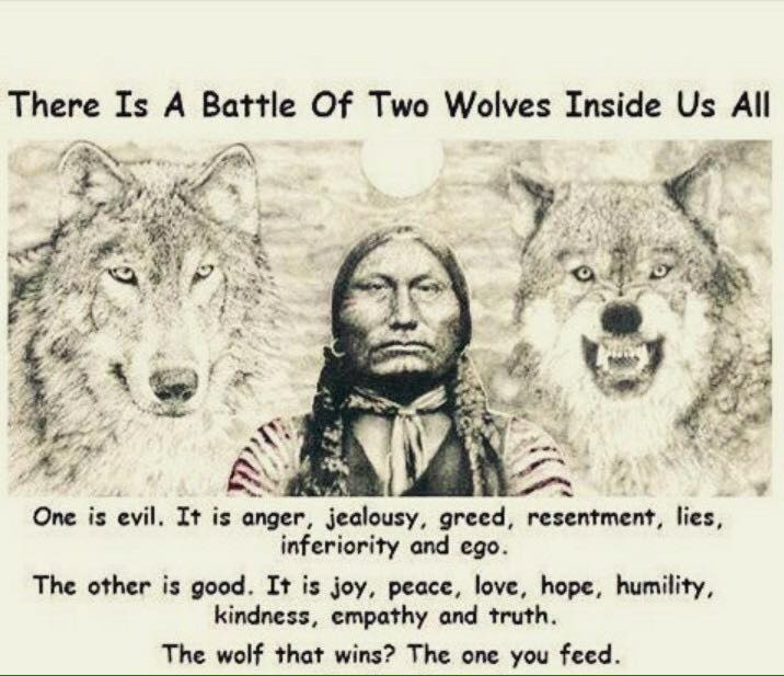 xstarmind's tweet photo. @LobstarWilde @LobstarWilde Wolf. https://t.co/SIlOj3546a