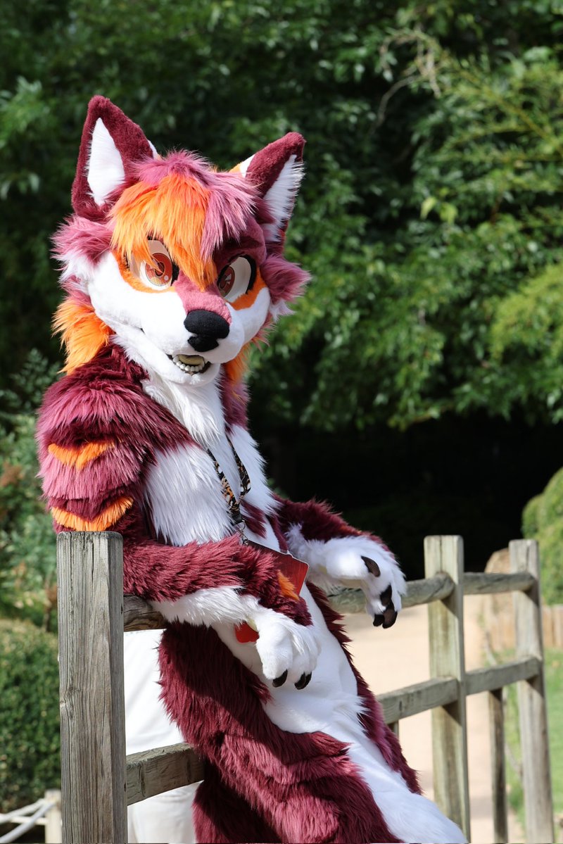 Prerayd 🔜 #ATT1 tweet media