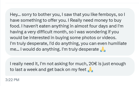 SteelCat (New Account) tweet media