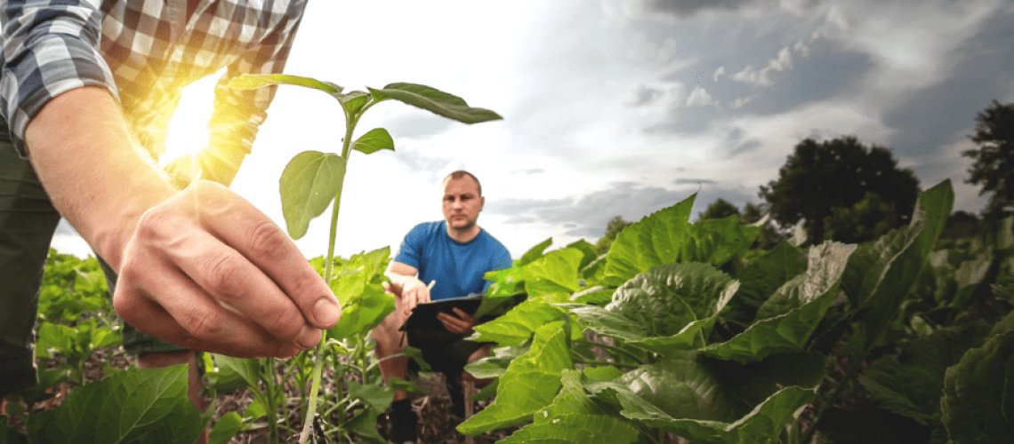 AKTION LEGAL tweet media