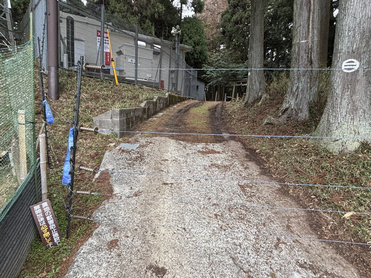 kawauchi2019's tweet photo. #明日香村 JOG
#飛鳥ハーフマラソン の激坂の途中で右折し、牛舎のある上畑地区を経て、 冬野地区へ。

獣避けの電気柵を2ヶ所抜けて、延喜 #式内社 の #波多神社 に参拝。

柵を外す手順は書いてあるものの、ビリッときそうで緊張しました。

冬野地区からは #多武峰 へ。
途中、標高645mで写真撮影。 https://t.co/SDnfpoGaGD