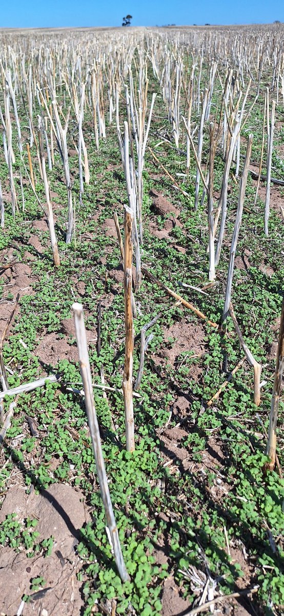 Jonathan Dyer tweet media