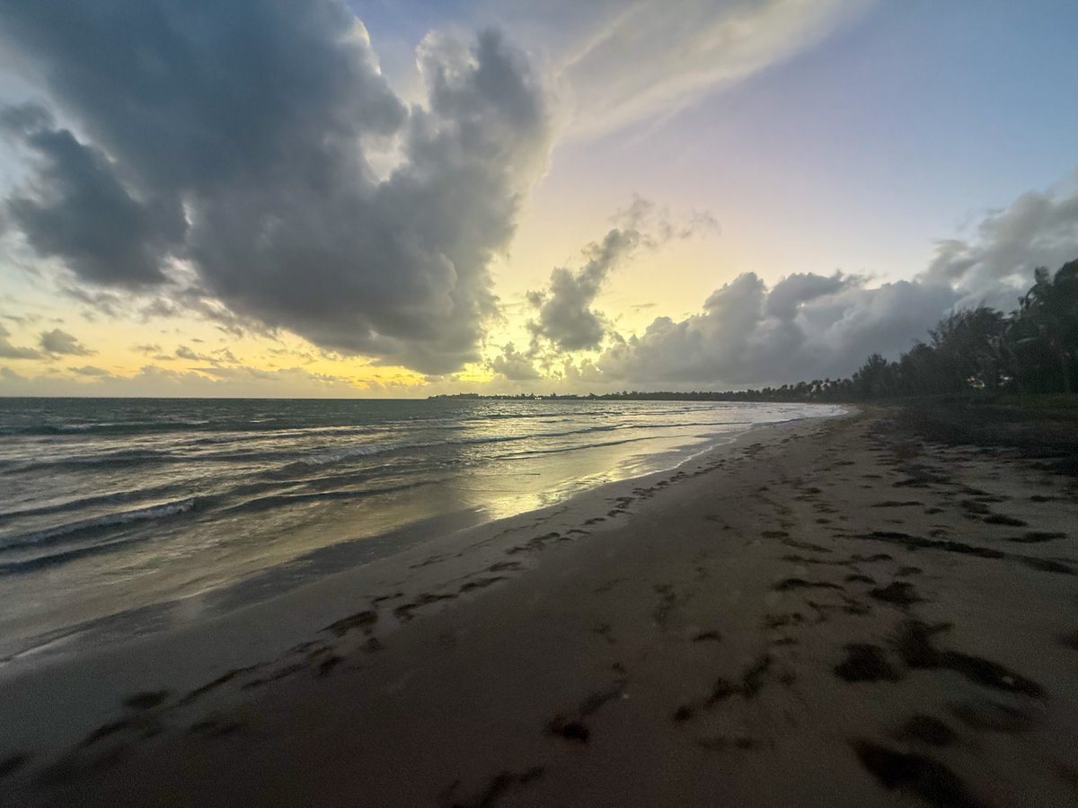 TainoNFT🇵🇷🪦 tweet media