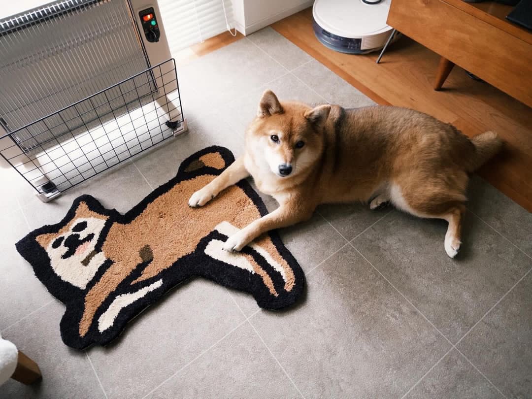 tufting studio KEKE(ケケ) | ラグ作り | タフティング tweet media