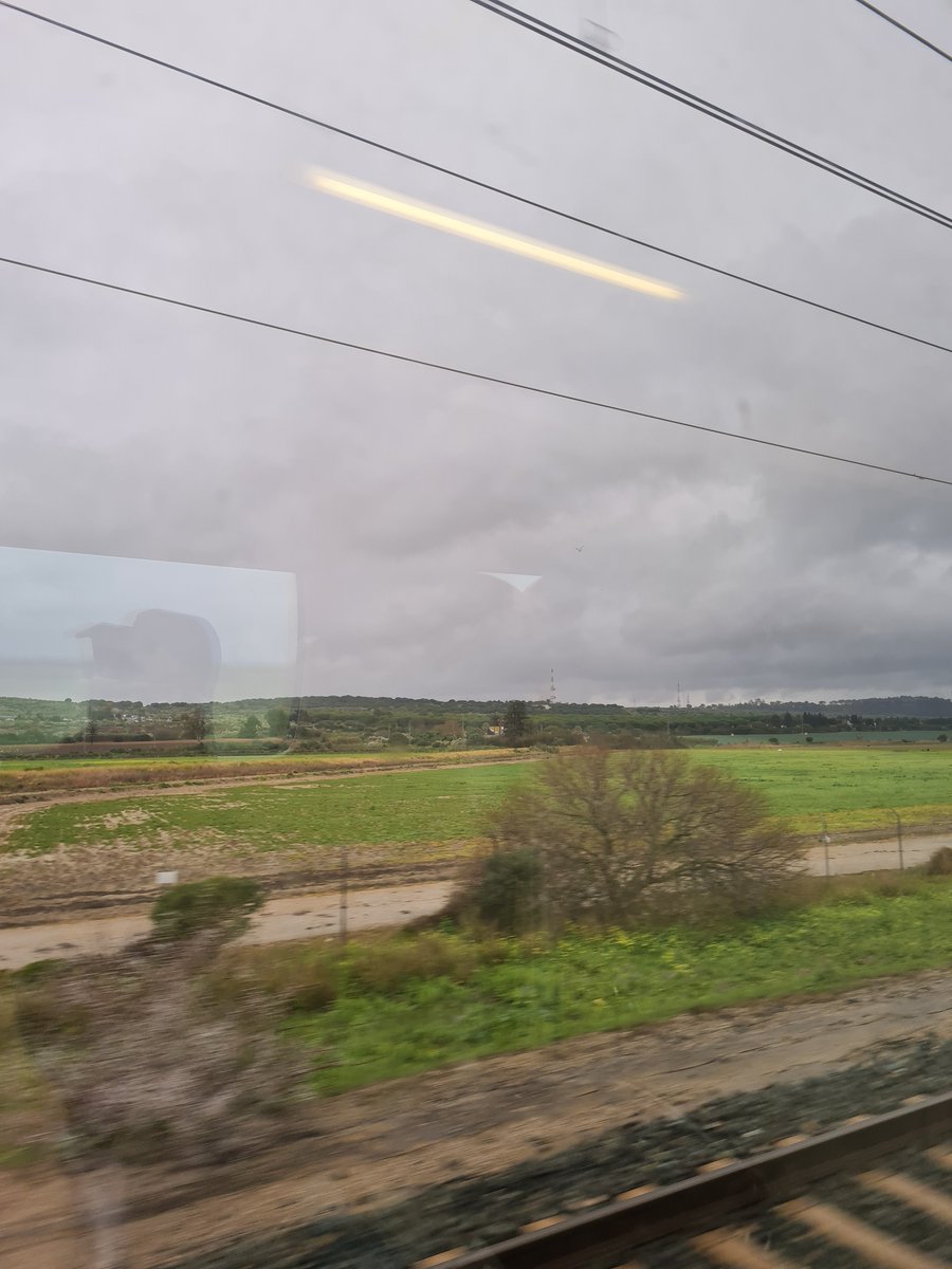 MasiolE's tweet image. Caminito de Sevilla, con mis niñas, para descubrir #ElHombreInvisible de @frnperea... 😍

#Música #Conciertos