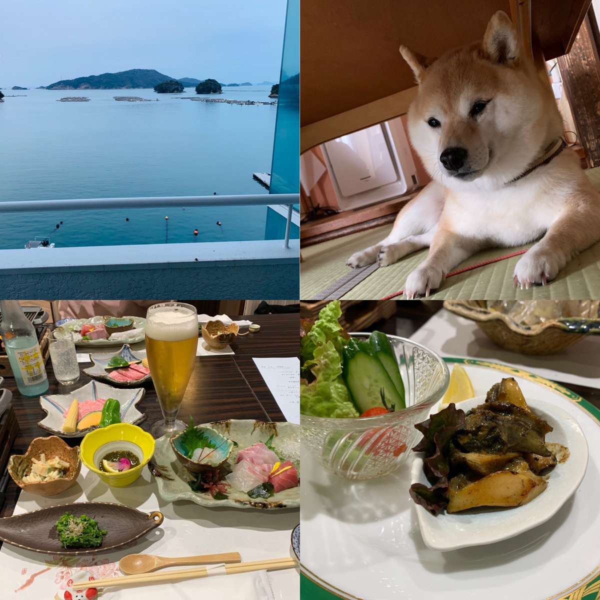 あお兄（にぃ） tweet media