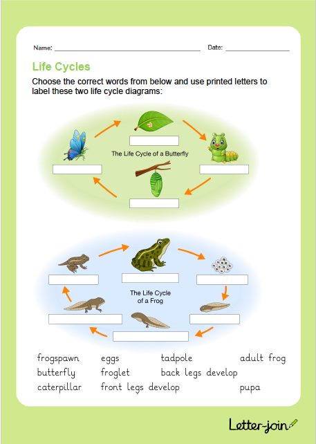 Letter-join - handwriting made easy! tweet media