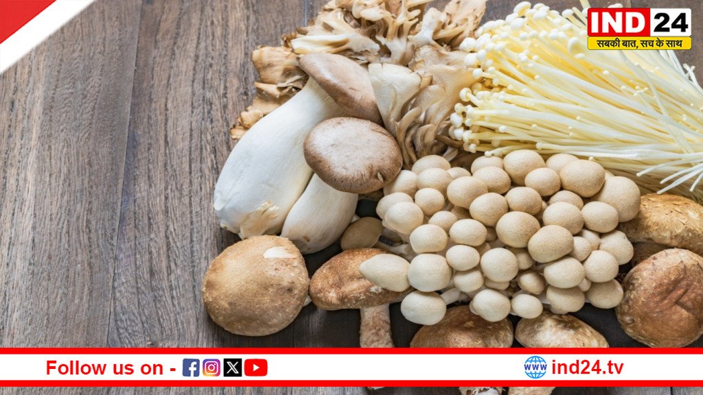 IND24MEDIA's tweet image. मशरूम खाने से शरीर में आते हैं ये चौंकाने वाले बदलाव, सेहत के लिए क्यों माना जाता है सुपरफूड

ind24.tv/lifestyle/mush…

#mushrooms #superfood #health #ind24