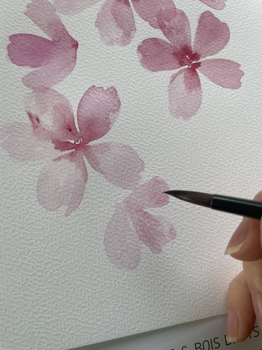 audreysuau_illustration tweet media