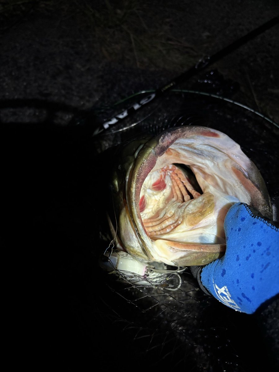 黒澤　龍人(山形県民) tweet media