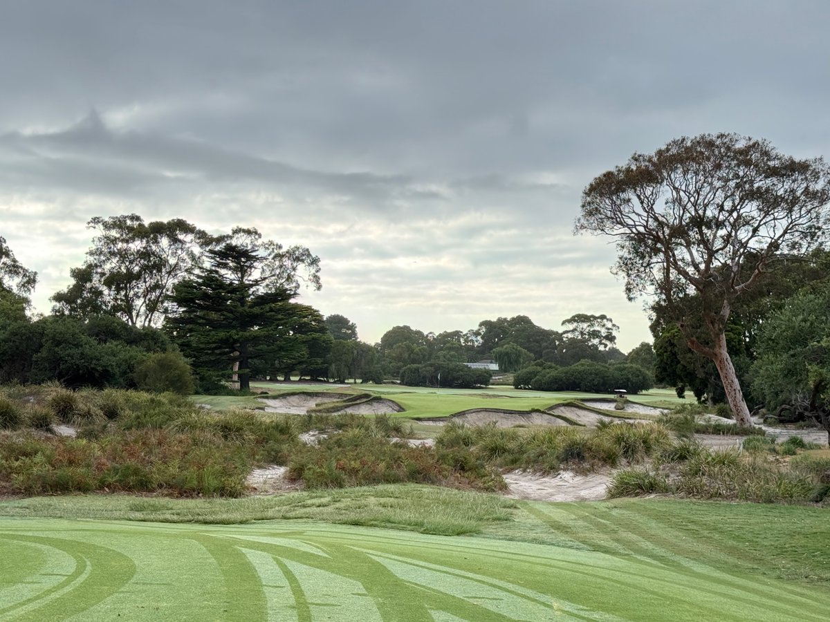 Rick Golfs tweet media