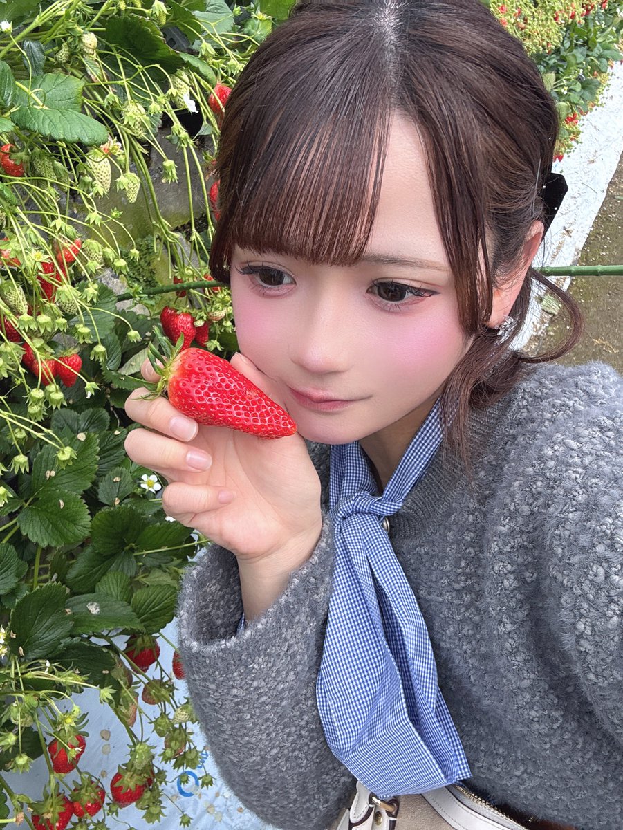 Post by 咲間えり*ROSARIO+CROSS on X: 🍓❤︎⸝⸝꙳