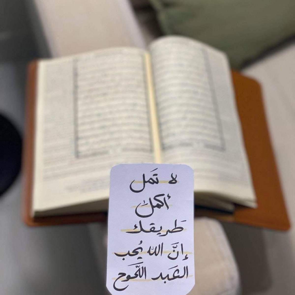 عابرة سبيل 🌿 tweet media