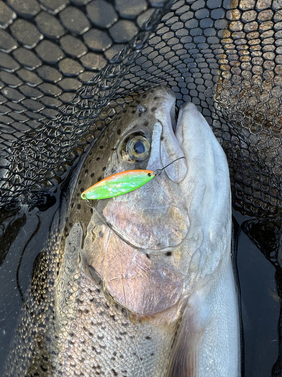 まっさ tweet media