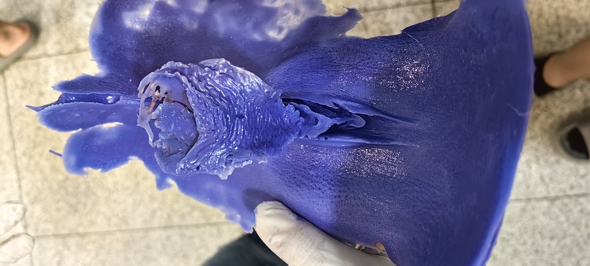 SENSBODY魔人 tweet media