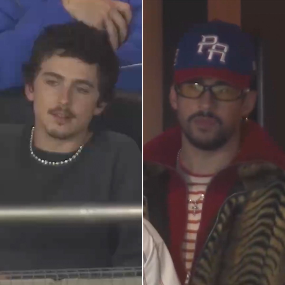 【WBC】豪華すぎる観客席！ティモシー・シャラメとバッド・バニーが日本で大谷翔平に熱視線「伝説の魔法を目撃しに来た」