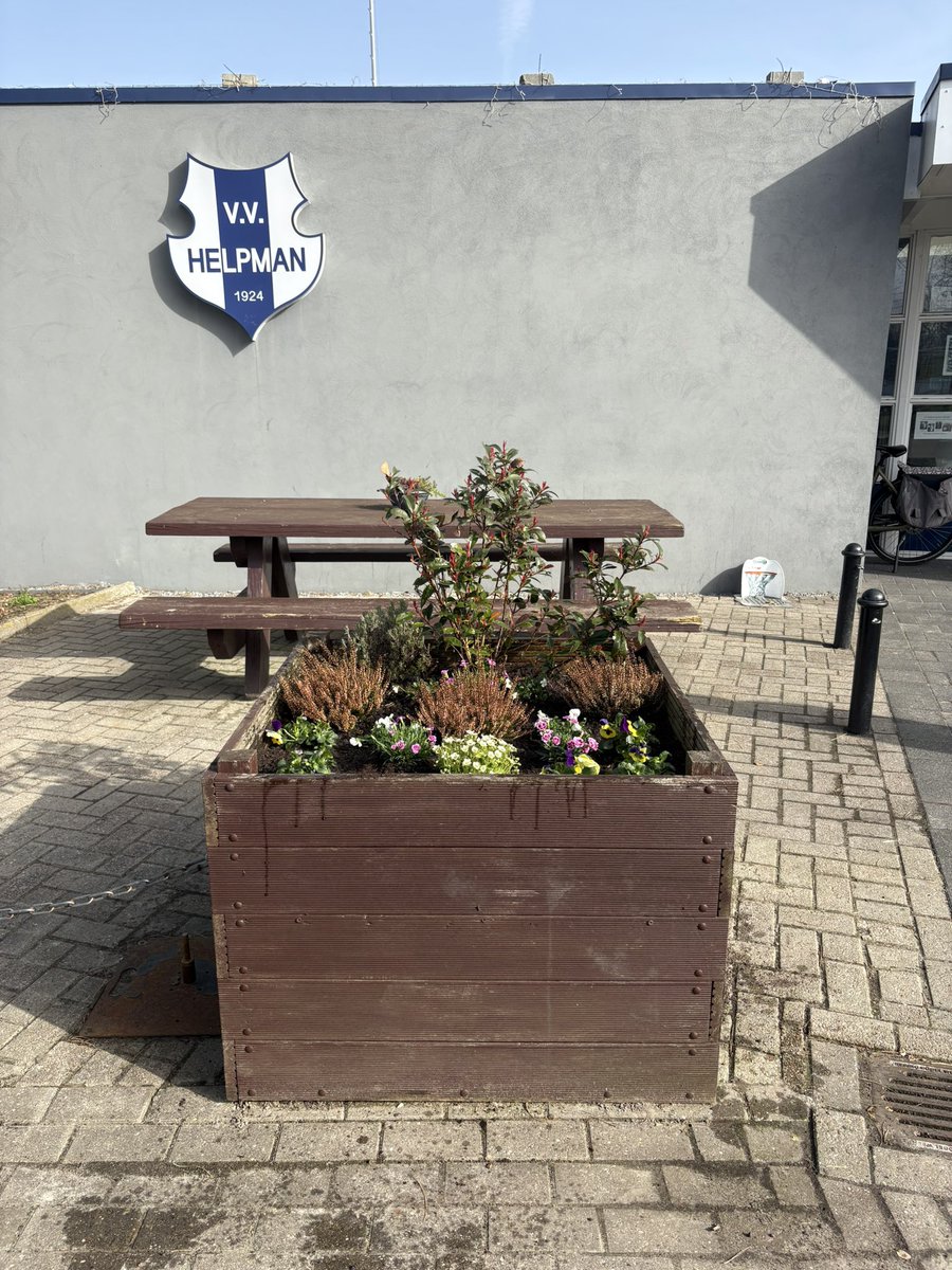 vvhelpman tweet media