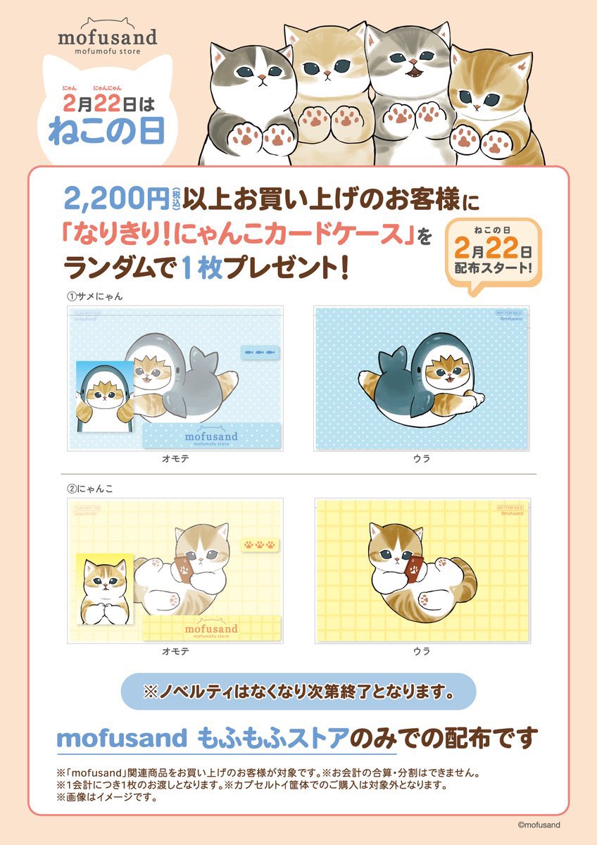 みかん🤍 tweet media